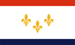 New Orleans, Louisiana flag
